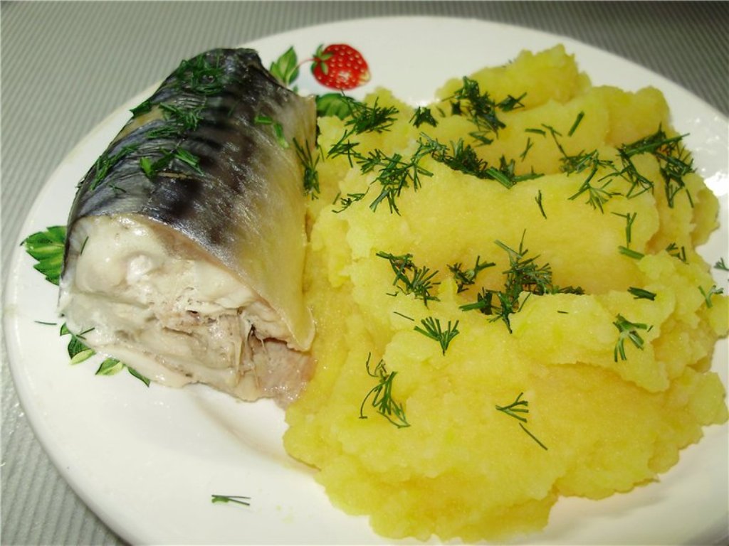 Вареная картошка с рыбой. Рыба припущенная скумбрия. Картофельное пюре с рыбой. Рыба отварная с гарниром. Картошка пюре с рыбой.